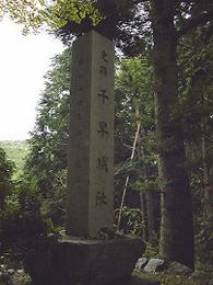 瑁隬